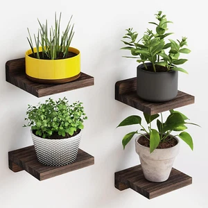 4 Pack 5x5 Inch Small Floating Shelf Rustic Wood Display Ledges for Wall - Picture 1 of 12