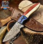 Csfif Custom Hand Forged Skinner Knife Ladder Damascus Bone And Wood Hunter