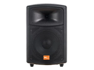 PG Audio PA 100 Disko Party Pa Lautsprecher 10 Zoll 1 Stück Neu - Bild 1 von 4