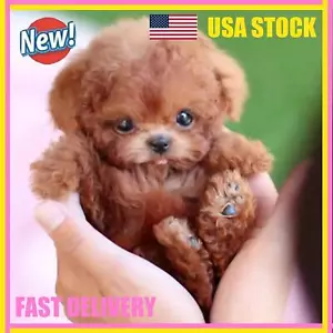 Robot Puppy My Realistic Robot Puppy Electronic Interactive Dog Companionship* - Picture 1 of 7