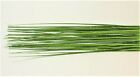 50 x Green Sparkly Bear Onion Curl Spray Grass Blades for Arrangement Cake deco