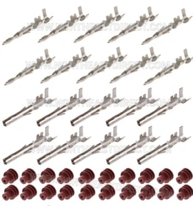 Delphi Weather Pack Terminals Kit 14-16 AWG - Picture 1 of 1