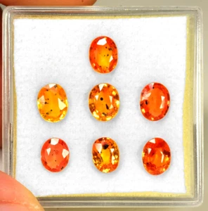 Sapphire 3.10 Cts 7PCS Natural Fancy Orange Red Sri Lanka Sapphire Gemstone - Picture 1 of 1