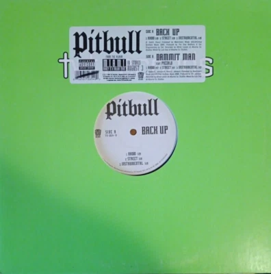 Pitbull - Back Up / Dammit Man (12" Vinyl) TV-2654-0 (G++) FREE SHIPPING Foto 1 de 4