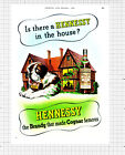 Hennessy Brandy St Bernard Dog Advert - 1950 Cutting