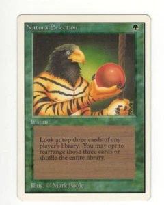 Natural Selection. Unlimited. NM. MTG. Magic the Gathering - Picture 1 of 2