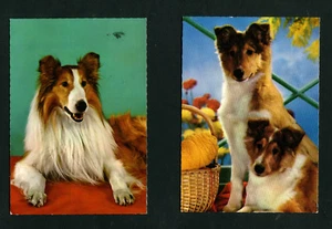 Dos PK Perros Lote 2 (EB12) - Imagen 1 de 1