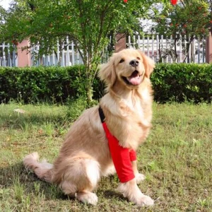 Soft Puppy Elbow Protector Dog Knee Pads Disabled Injured Dogs - Picture 1 of 14