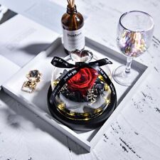 Beauty and Beast Eternal Flowers Forever Preserved Rose In Glass Dome with LED