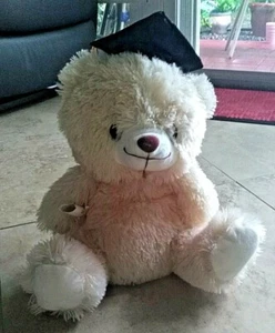 Graduation Teddy Bear White Blush Plush Stuffed with Cap Diploma 6" Gift idea - Picture 1 of 8