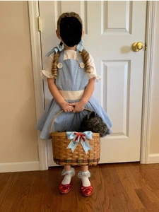 Dorothy-Inspired Blue Gingham Apron Dress With Matching Basket & Hair Bows - Picture 1 of 11