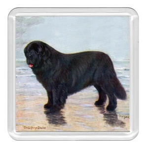Neufundland Hund Acryl Untersetzer Neuheit Getränk Tasse Matte tolles Geschenk - Bild 1 von 1