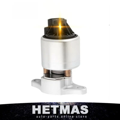 1 JUEGO VÁLVULA DE RECIRCULACIÓN DE GAS EGR NUEVA PARA CHEVY CAMARO PONTIAC FIREBIRD 95-02 Foto 1 de 4