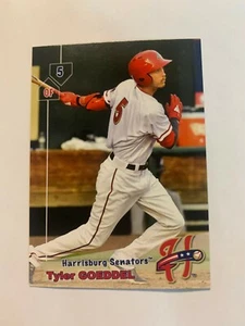 Tyler Goeddel 2019 Harrisburg Senators Team Card - Picture 1 of 1