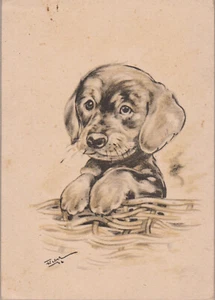 Vintage A.Roeseler Dackel Dachshund Teckel Puppy Old Dog PC. 1946 - Picture 1 of 1