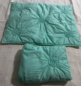 Set Of 2 Pottery Barn Sham Quilted Standard Light Green 100% Cotton - Picture 1 of 5