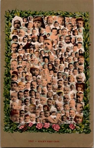 Postkarte Utahs beste Ernte mehrere Babys Zwang geteilt zurück unverpostet - Bild 1 von 2