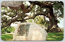 South Bend Indiana ~ Highland Cemitério ~ Conselho De Carvalho ~ Rock Boulder tratado Marcador de ~ 1960