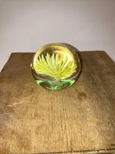 Kunstglas gelbe Blume mundgeblasen Glas runde Kugel Briefbeschwerer 2,5" breit - Bild 1 von 4
