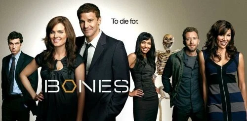 Bones: the Complete Fourth Season (DVD, 2008)