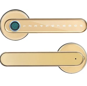 4-in-1 Keyless Entry Smart Lock, Fingerprint + Code + Mechanical Keys + Bt - Picture 1 of 5