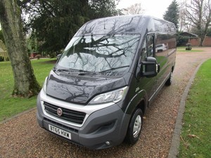burgandy checkered vans