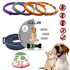 Retractable Dog Collar 8 Month Protection Cat Necklace  Corgi