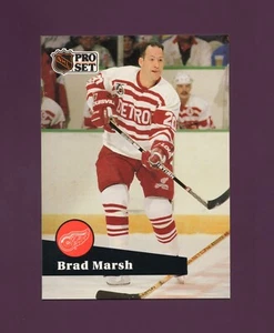 1991 Pro Set Brad Marsh #378 - Detroit Redwings - Picture 1 of 2