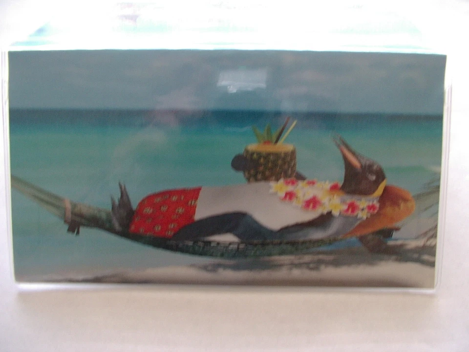 Cubierta de chequera Penguin relajante en la playa Foto 1 de 1