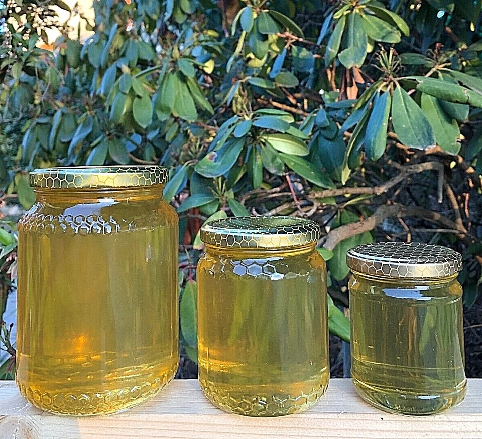 Miele di acacia - italiano - piemontese - alta qualità - 1kg/500g/250g - Immagine 1 di 1