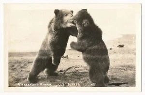 A Wrestling Match, Brown Bears, Alaska RPPC - Picture 1 of 2