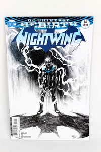 Nightwing #14 Bludhaven Finale Tim Seeley 2017 DC Rebirth Comics F/F+ - Picture 1 of 3