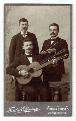 CDV Photo Musicians with Harp Guitar Clarinet Music Band Kopparberg RARE (10158) - Image 1 of 2