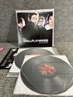 The Wallflowers Red Letter Days 2LP Vinyl B0000280-01 VG++ First Press