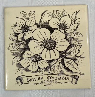 British Columbia Canadá Salpicadero 6x6 Decorativo Cerámica Arte de Pared Azulejo Cocina Foto 1 de 3