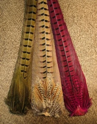 Nature's Spirit TEÑIDO CUELLO ANILLA FAISÁN COLA COMPLETA GRUMP Plumas para atar moscas Foto 1 de 2