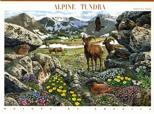 USA 2007 ALPINE TUNDRA 10 STAMP SHEET 9th IN S SERIES SCOTT 4198 MNH - Picture 1 of 12