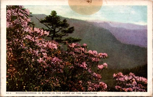 Rhododendron Busy Bee Café Newport TN POSTAL WW2 Soldier Leiman 397 pies Bragg - Imagen 1 de 2