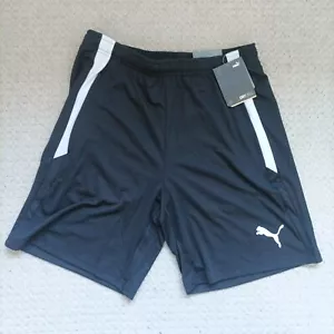 Puma Regular Fit TeamLiga Training Herren Sportshorts - Größe L - Bild 1 von 7