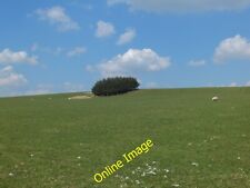 Photo 6x4 Small group of trees in a large field Cefn Canol/SJ2331 No obv c2013