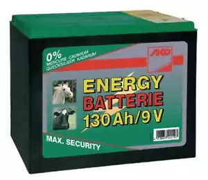 BATTERIA PER RECINTO ELETTRICO 130 Ah 9 V PILA A SECCO PASCOLO RECINZIONI ANIMAL - Foto 1 di 3