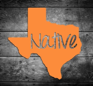 Texas Native Vinyl Aufkleber Auto Fenster Tür Autoaufkleber Stolz Zuhause TX - Bild 1 von 2