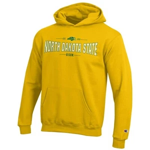 Champion NCAA Youth Long Sleeve Fleece Hoodie Boy's Collegiate Sweatshirt, No... - Picture 1 of 1