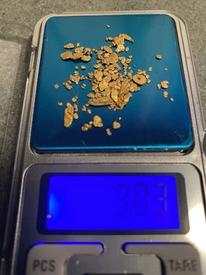 American River россыпь золото 3 грамма - Изображение 1 из 4