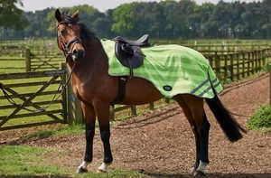 Firefoot Reflective Exercise hi viz Sheet safety fly rug pink, yellow, orange - Picture 1 of 6
