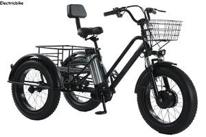 24" 48V Electric Snow Trike 3 wheel e-bike 4.0 Fat Tire E-Tricycle Sand E-trike - Picture 1 of 18