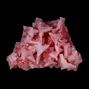 3.4" Quality Deep Pink Halite Salt Crystals Cluster Mineral Trona, CA Searles - Picture 1 of 7