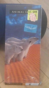 "Animal Logic 2" CD Longbox ONLY! Shink+Hype Rare! Stewart Copeland The Police - Picture 1 of 2