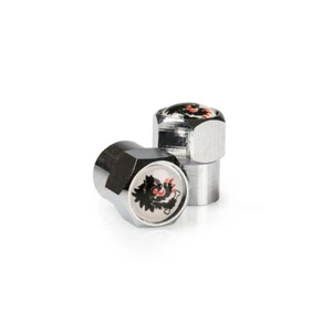 Coppia tappi valvola camera d'aria Malossi per Kymco SKYTOWN 125 2024-2025 - Imagen 1 de 2