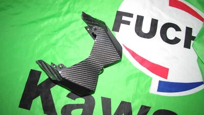 Cubierta de luz trasera de carbono MH para Kawasaki Ninja H2 SX 201876849454 Foto 1 de 4
